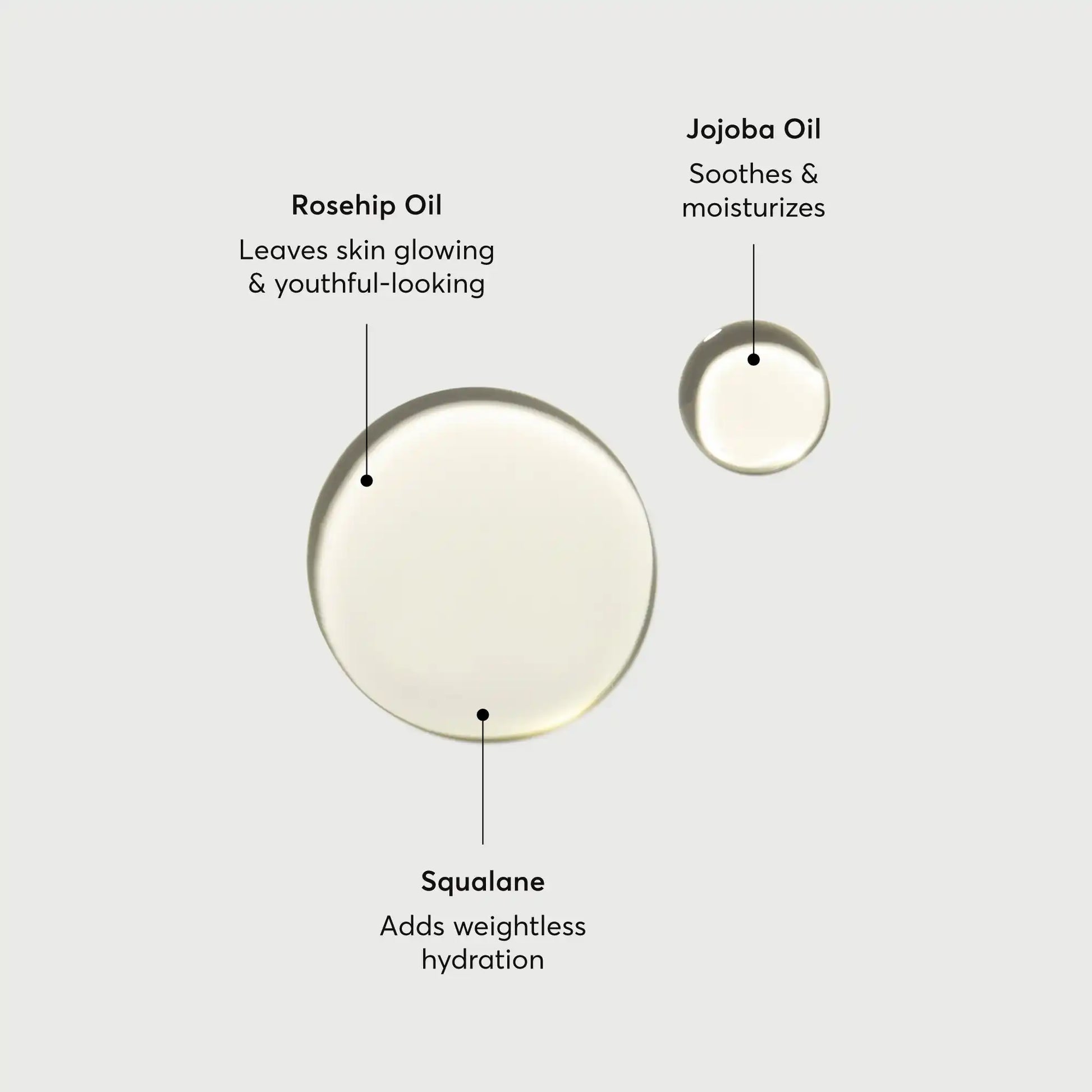 the-glow-getter-body-oil-k7 NATR-10115-Alt-Images-The-Glow-Getter-Body-Oil-01.webp
