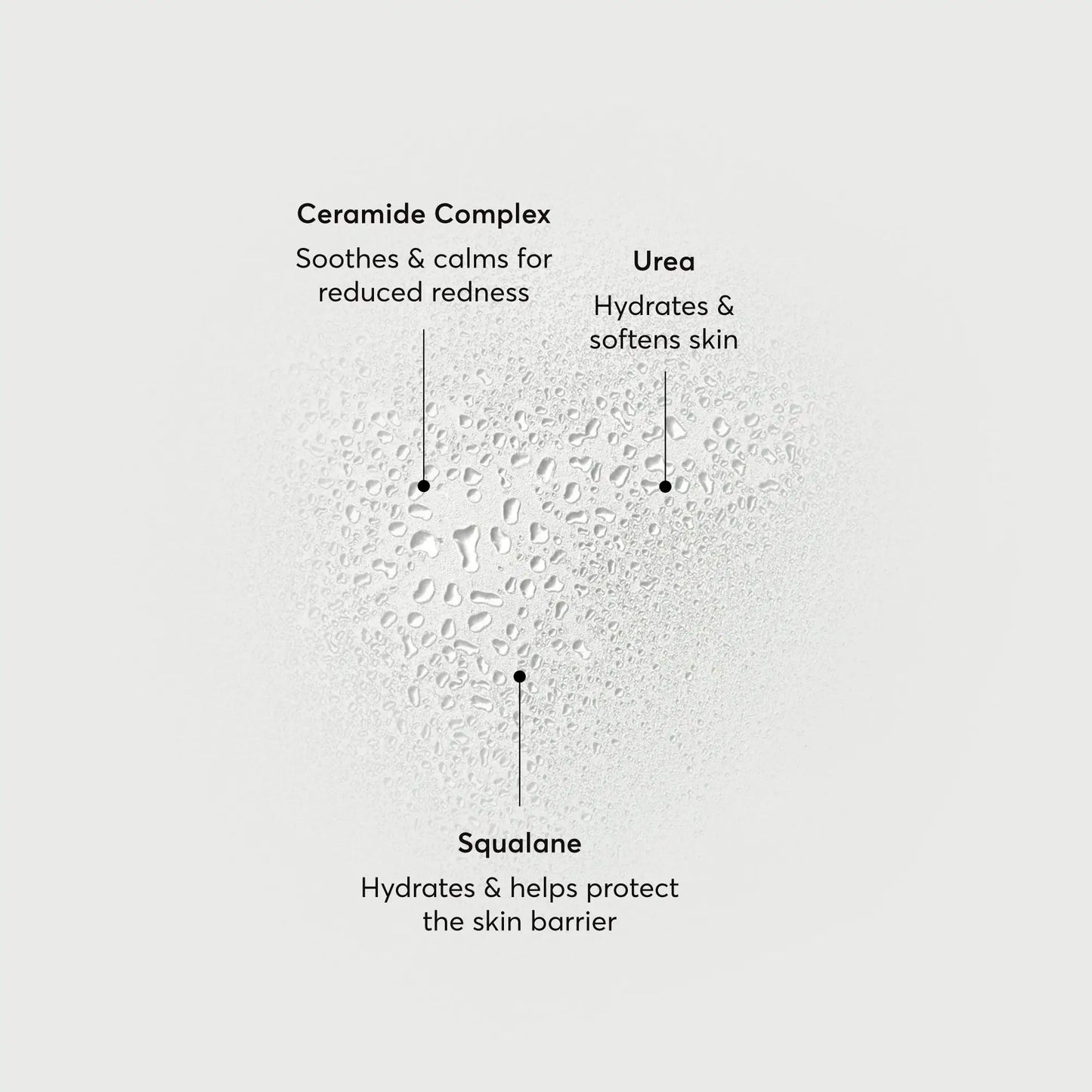 barrier-bounce-bi-phase-mist-i9 NATR-10167-Alt-Images-Barrier-Bounce-Bi-Phase-Toner-Mist_01.webp