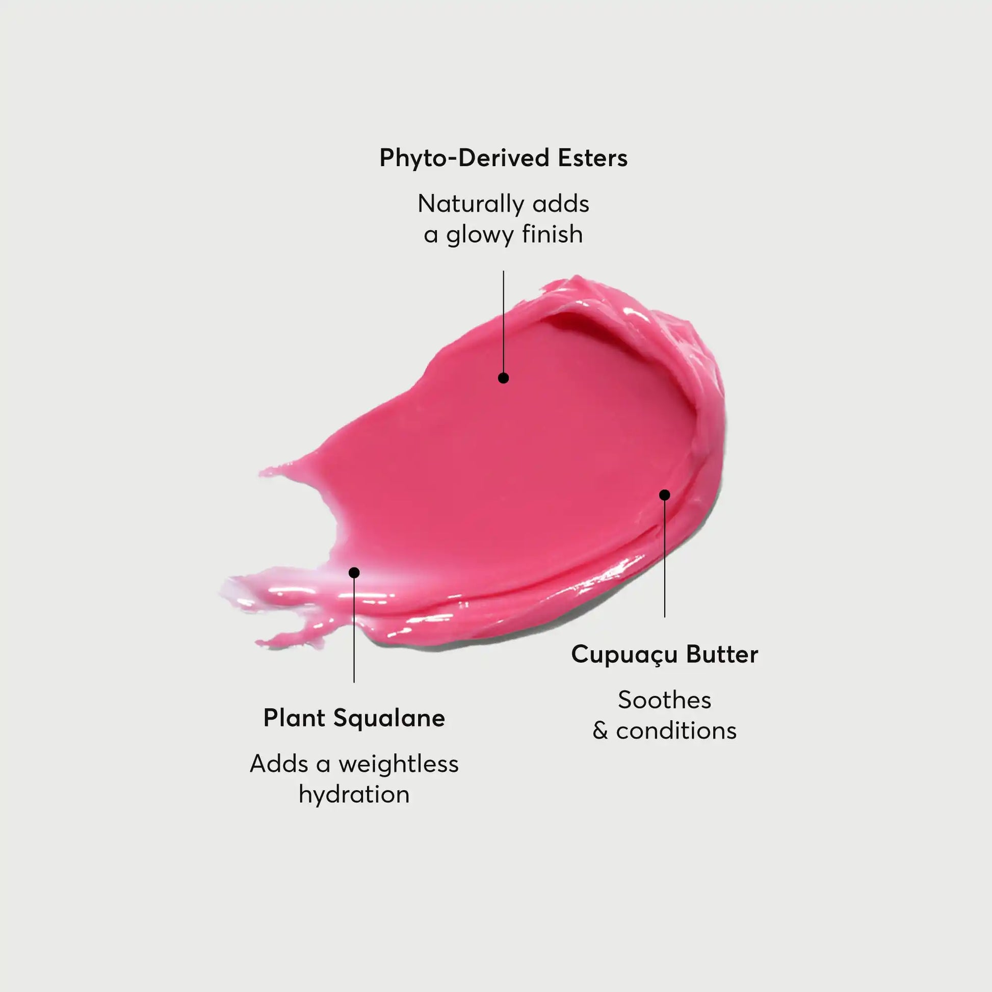 phyto-glow-lip-balm-camellia-m6 NATR-60075-Alt-Images-Phyto-Glow-Lip-Balm-Camellia-01.webp